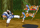 Dynasty Warrior
